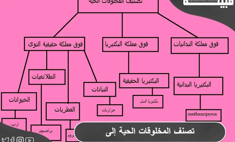 تصنف المخلوقات الحية إلى ست ممالك