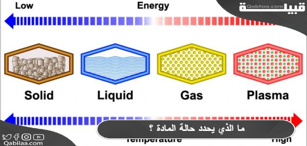 ما الذي يحدد حالة المادة