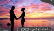 أسماء دلع للحبيب 2023 أسماء حلوه للحبيب بجميع اللغات