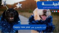 الرد على happy new year بالإنجليزي والعربي