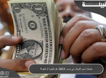 توقعات سعر الدولار في مصر هل مُبشرة أم مُنفرة؟