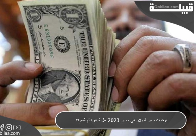 توقعات سعر الدولار في مصر هل مُبشرة أم مُنفرة؟