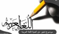 موضوع تعبير عن أهمية اللغة العربية ومكانتها في حياتنا