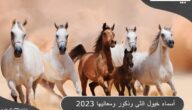 32 من أسماء خيول عربية أصيلة ومعانيها 2023 منها خيول الأمراء