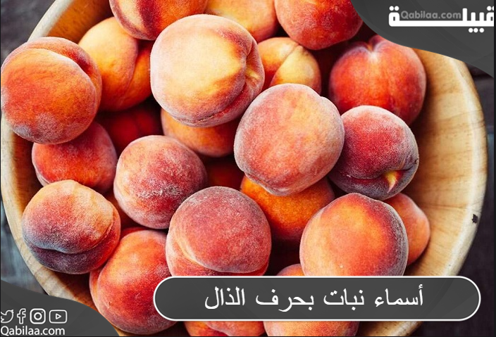 أسماء نبات بحرف الذال