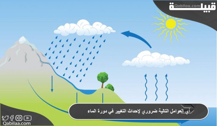 أي العوامل التالية ضروري لإحداث التغيير في دورة الماء