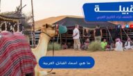أسماء أشهر القبائل العربية علي رأسهم القحطانية والعدنانية