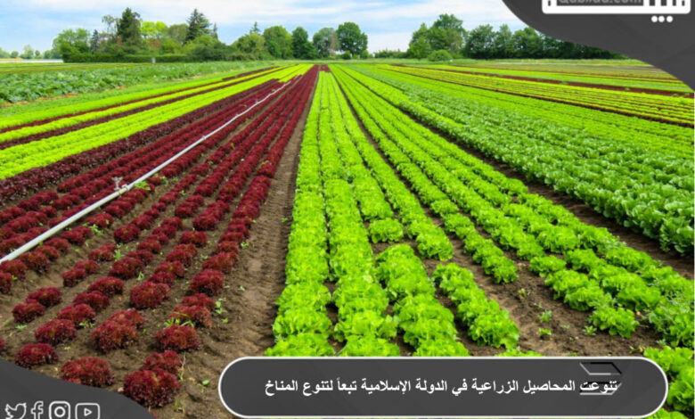 ما هو سبب تنوع المحاصيل الزراعية في الدولة الإسلامية ؟