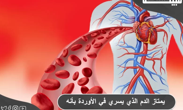 بماذا يمتاز الدم الذي يسري في الأوردة