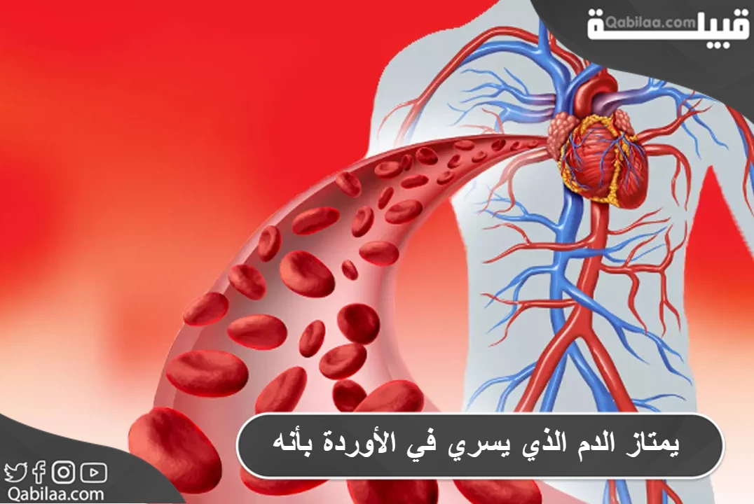 يمتاز الدم الذي يسري في الأوردة بأنه