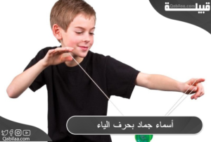 10 أسماء جماد بحرف السين س مع الوصف - موقع قبيلة