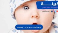 أسماء أولاد بحرف الراء ومعانيها أجنبية وعربية 2023