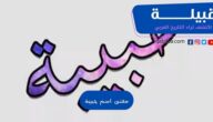 معنى اسم حبيبة في القرآن الكريم والمعجم العربي
