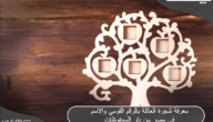 معرفة شجرة العائلة بالرقم القومي والاسم في مصر من دار المحفوظات