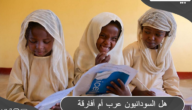 هل السودانيون عرب أم أفارقة