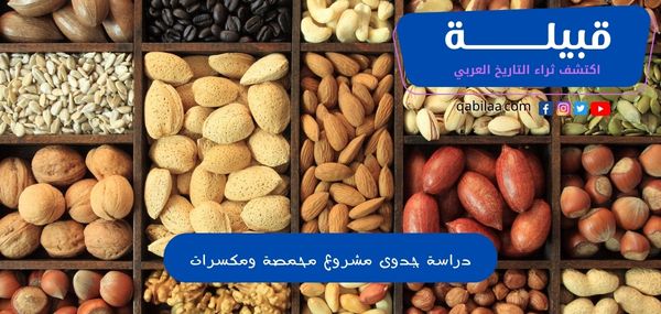 دراسة جدوى مشروع محمصة ومكسرات