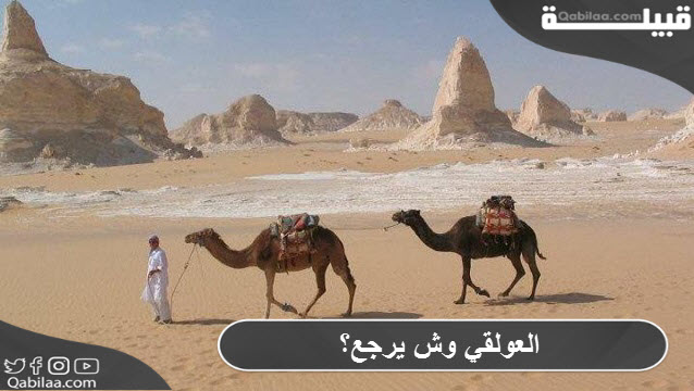 العولقي وش يرجع؟