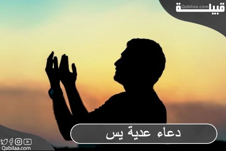 دعاء عدية يس الصحيحة مكتوب لقضاء الحاجة