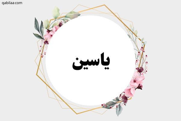 معنى اسم ياسين