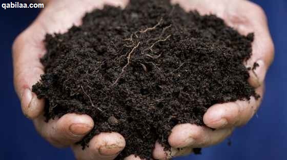 ما هو الدبال ومما يتكون وما خصائصه وفوائده - موقع قبيلة