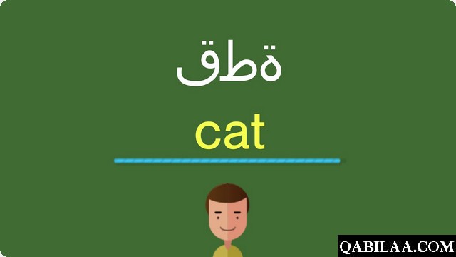 أسماء الحيوانات بالانجليزي والعربي