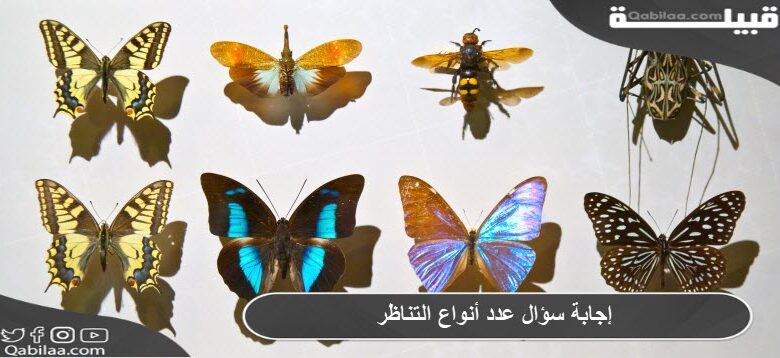 إجابة سؤال عدد أنواع التناظر