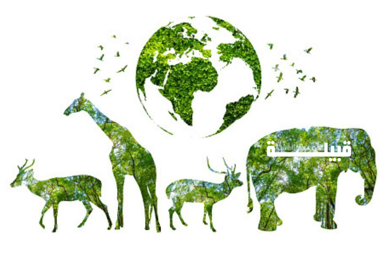 اليوم العالمي للأحياء البرية