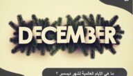 ما هي الأيام العالمية لشهر ديسمبر ؟