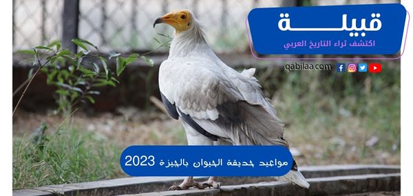 مواعيد حديقة الحيوان بالجيزة اليوم 2024 وسعر التذكرة
