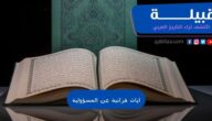 آيات قرآنية عن المسؤولية والاهتمام بالآخرين وبالمجتمع