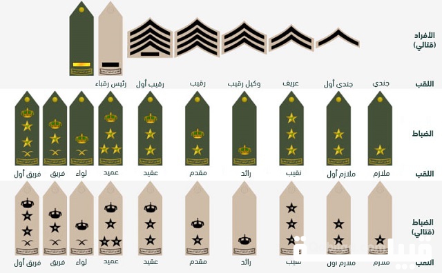 الرتب العسكرية حسب الشهادة في السعودية
