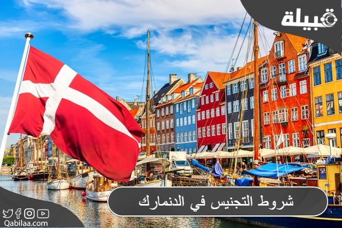 شروط التجنيس في الدنمارك 2024 وأوراق الحصول علي الجنسية