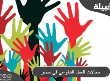 مجالات العمل التطوعي في مصر