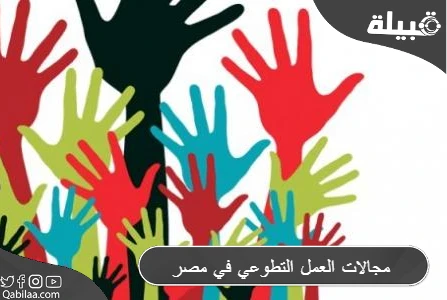 ما هي مجالات العمل التطوعي في مصر