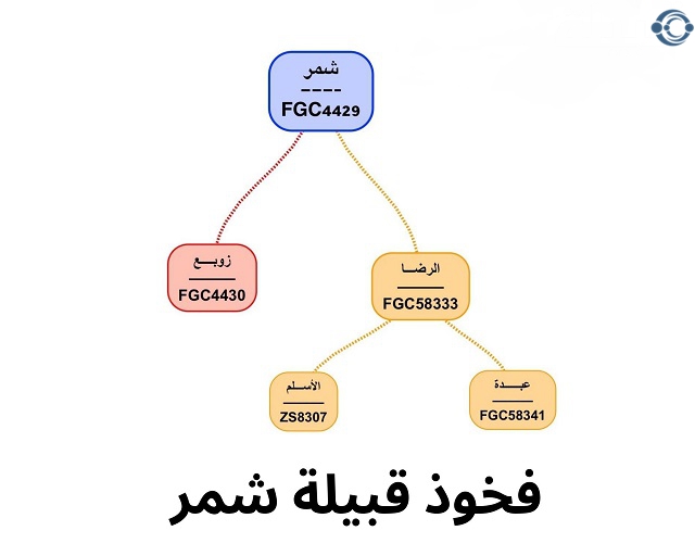 الشميمري وش يرجع؟