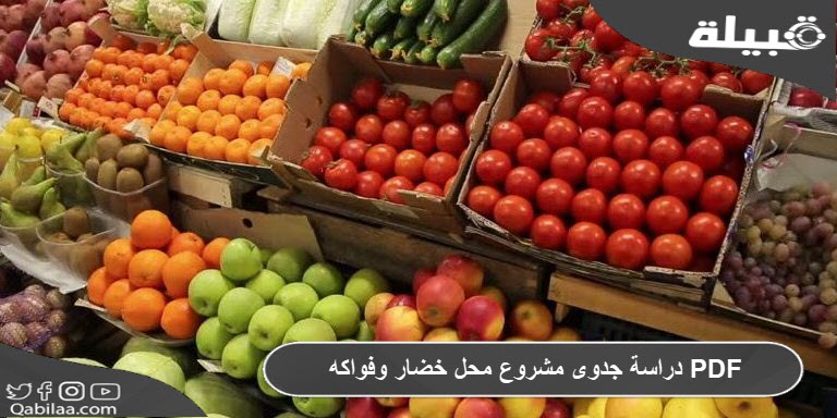 دراسة جدوى مشروع محل خضار وفواكه