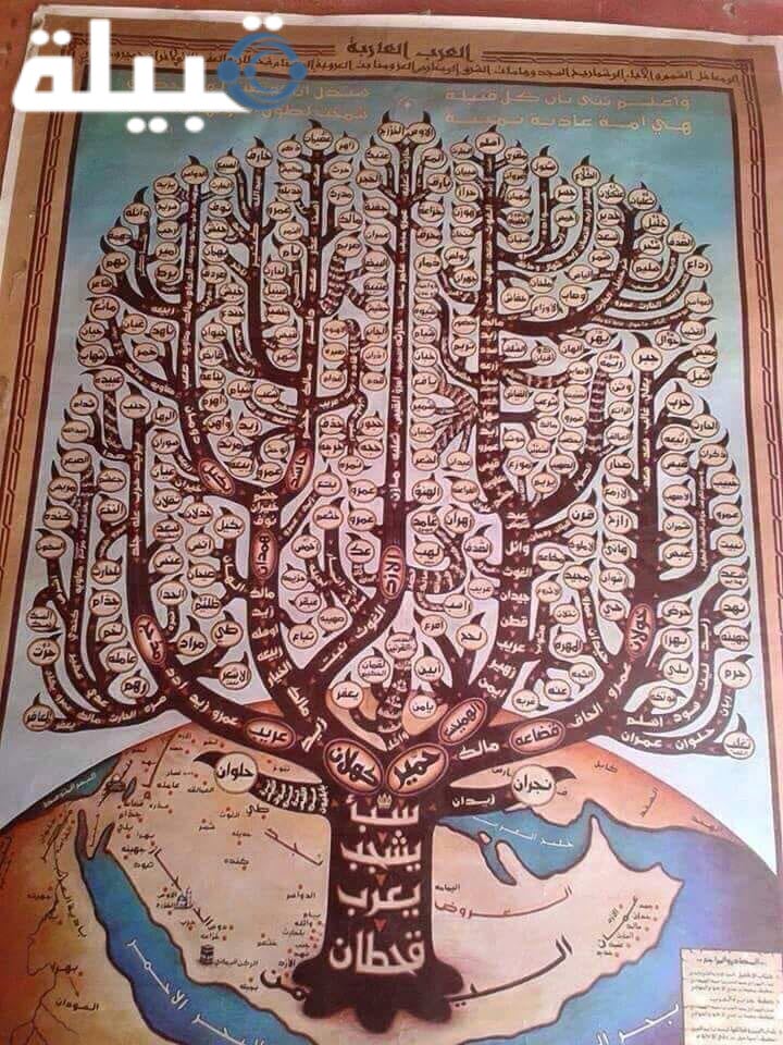 شجرة قبائل اليمن