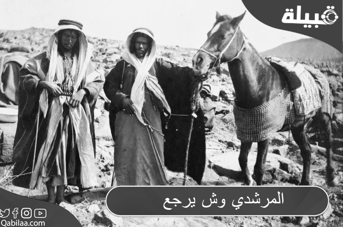 المرشدي وش يرجع