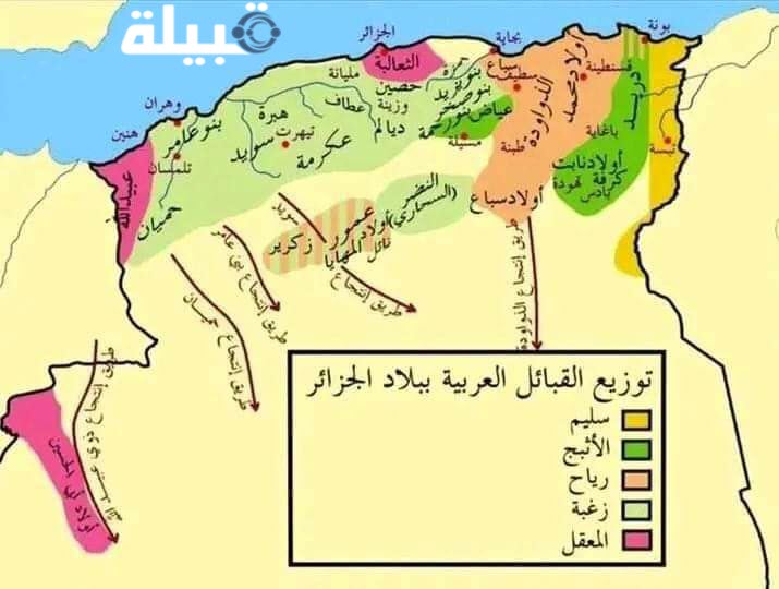 قبائل الجزائر العربية