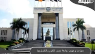 مميزات وعيوب جامعة مصر للعلوم والتكنولوجيا