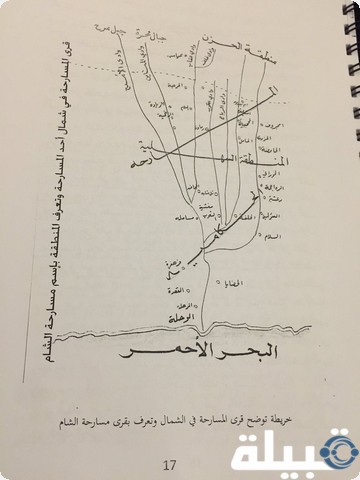 311 رمز اي قبيله