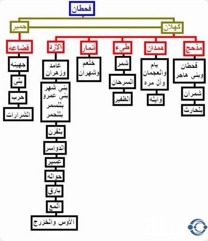 505 رمز اي قبيلة