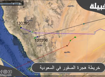 خريطة هجرة الصقور في السعودية