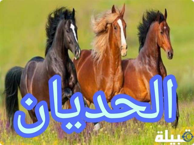 الخيل العربي الأصيل