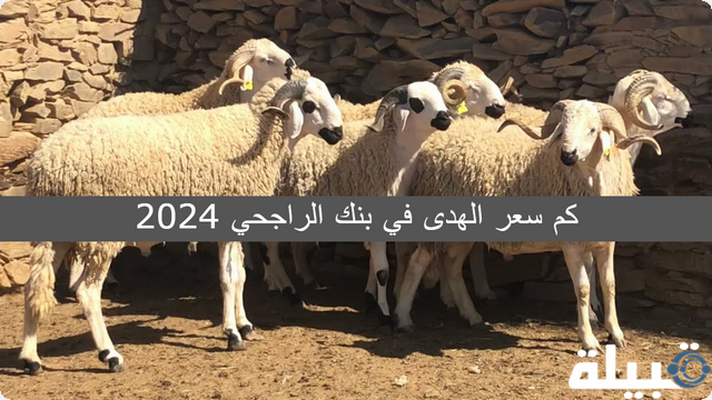 كم سعر الهدى في بنك الراجحي 2024؟ تعرف على أسعار صك الأضحية في السعودية لعام 1445