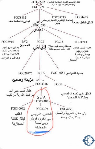 الجحدلي من اي قبيله