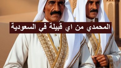 المحمدي من اي قبيلة