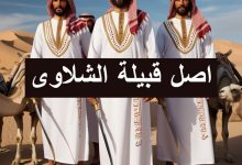 قبيلة الشلاوى