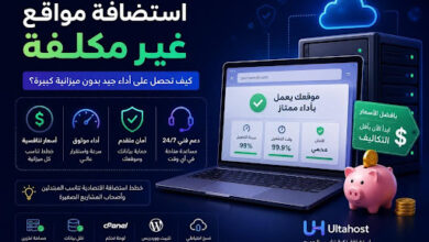 استضافة مواقع غير مكلفة: كيف تحصل على أداء جيد بدون ميزانية كبيرة؟